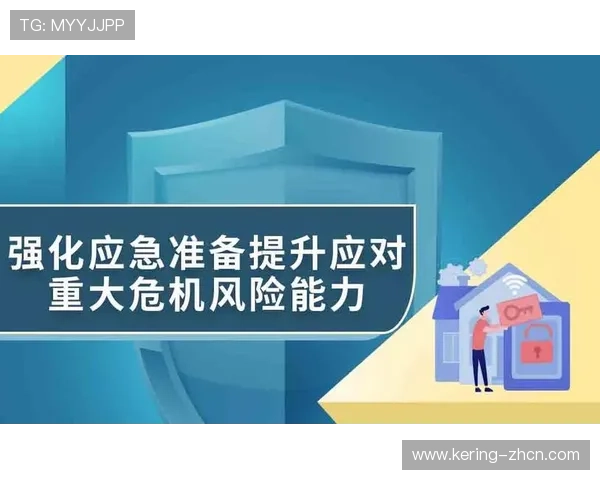 跨区域联防机制应对大型赛事风险,增强应急处理能力